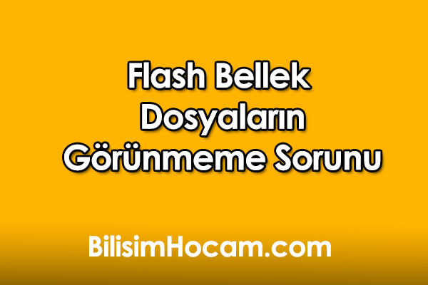 flash-bellek-dosyaların-görünmeme-sorunu